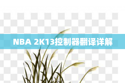 NBA 2K13控制器翻译详解图片