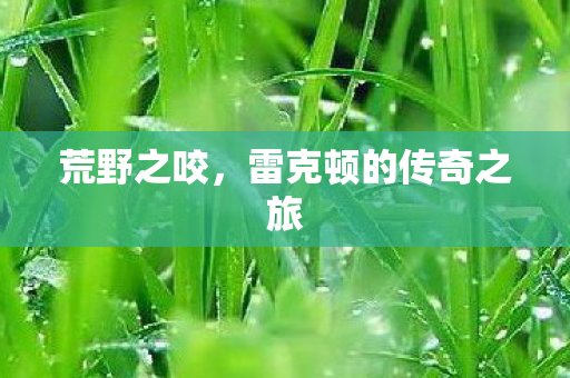 雷克顿的传奇之旅图片