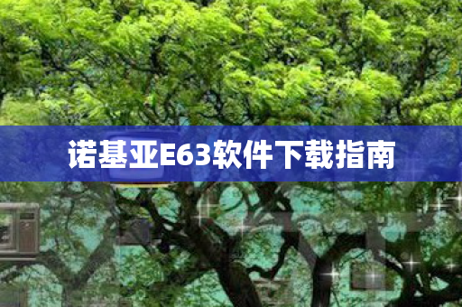 诺基亚E63软件下载指南图片