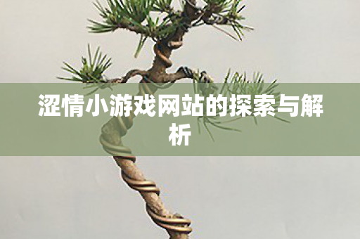 涩情小游戏网站的探索与解析图片