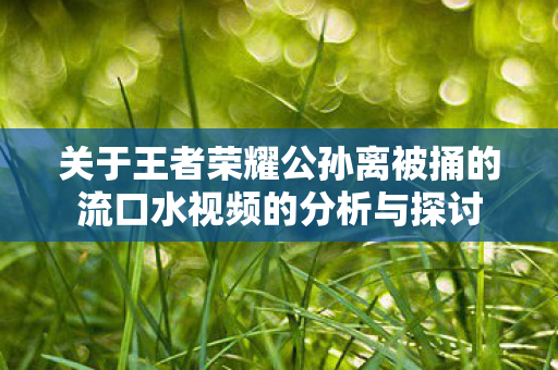 关于王者荣耀公孙离被捅的流口水视频的分析与探讨图片