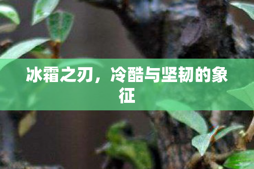 冷酷与坚韧的象征图片