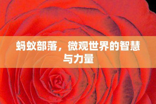 微观世界的智慧与力量图片