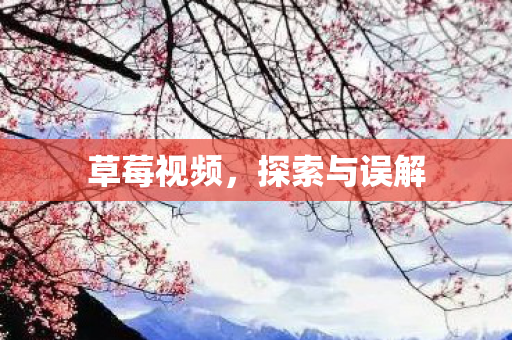 探索与误解图片