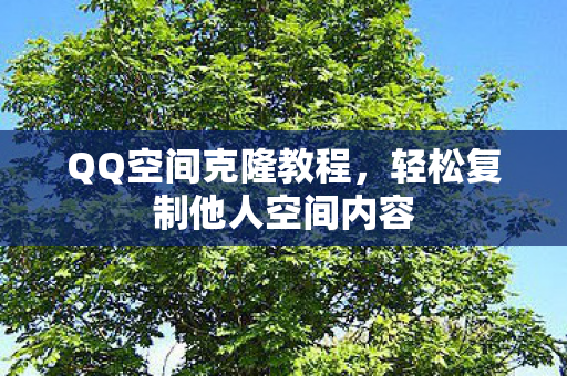 轻松复制他人空间内容图片