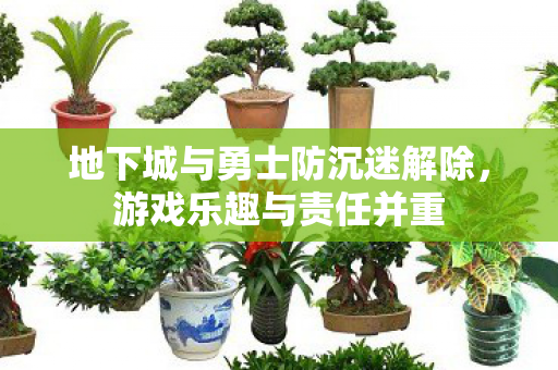 地下城与勇士防沉迷解除图片