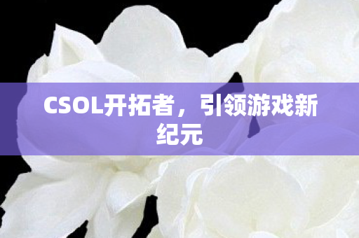 CSOL开拓者图片