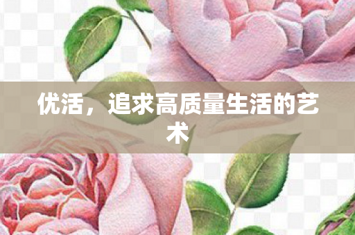 追求高质量生活的艺术图片