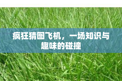一场知识与趣味的碰撞图片