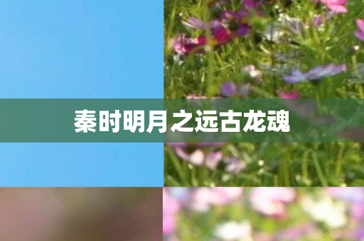 秦时明月之远古龙魂图片