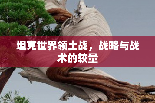 战略与战术的较量图片