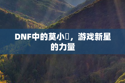 DNF中的莫小囧图片