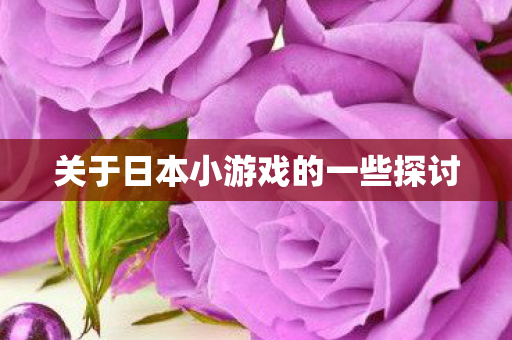 关于日本小游戏的一些探讨图片