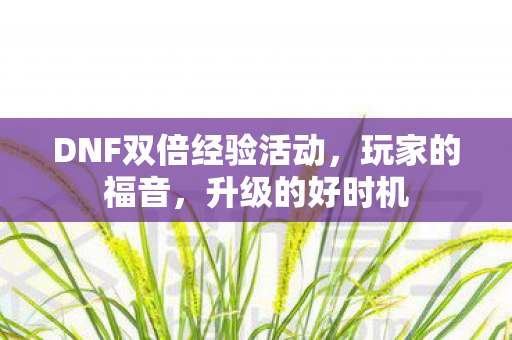 DNF双倍经验活动图片