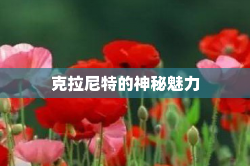 克拉尼特的神秘魅力图片