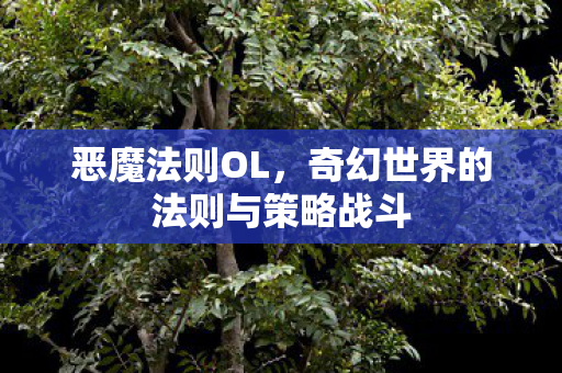 奇幻世界的法则与策略战斗图片