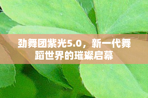 新一代舞蹈世界的璀璨启幕图片