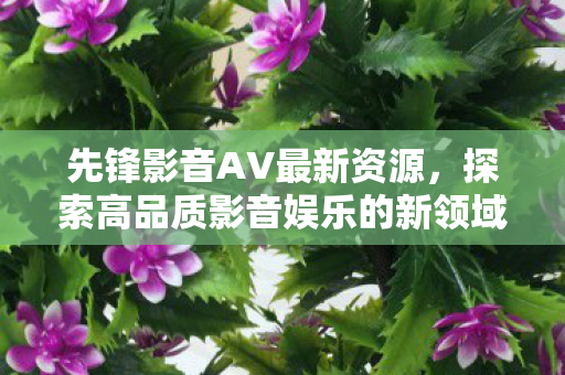 探索高品质影音娱乐的新领域图片
