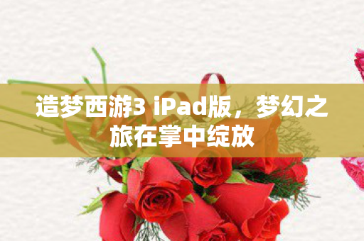 造梦西游3 iPad版图片