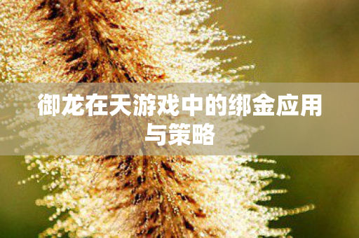 御龙在天游戏中的绑金应用与策略图片
