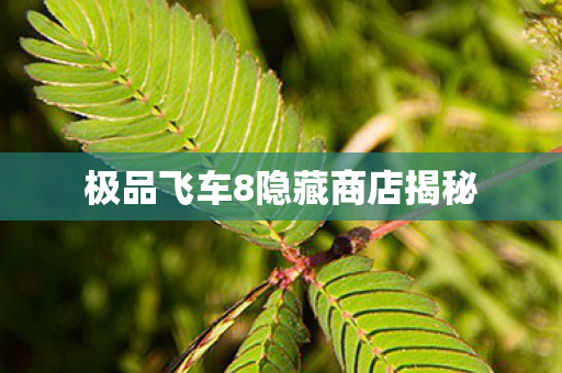 极品飞车8隐藏商店揭秘图片