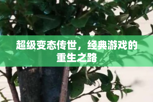 经典游戏的重生之路图片