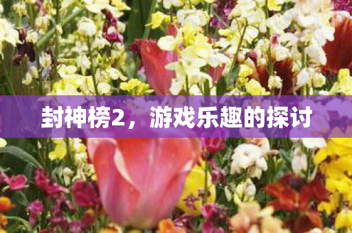 游戏乐趣的探讨图片