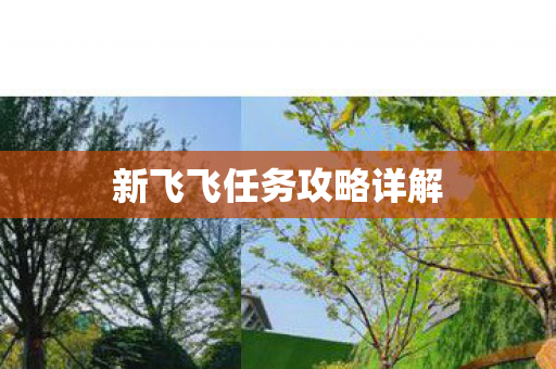 新飞飞任务攻略详解图片