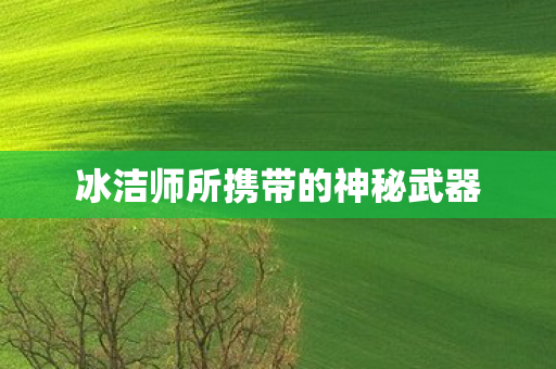 冰洁师所携带的神秘武器图片