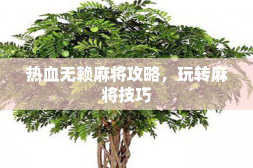 热血无赖麻将攻略图片