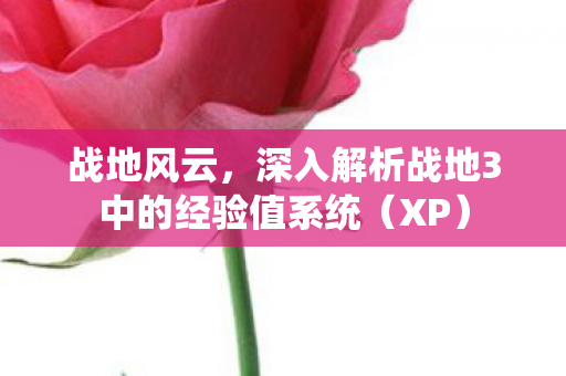 深入解析战地3中的经验值系统图片