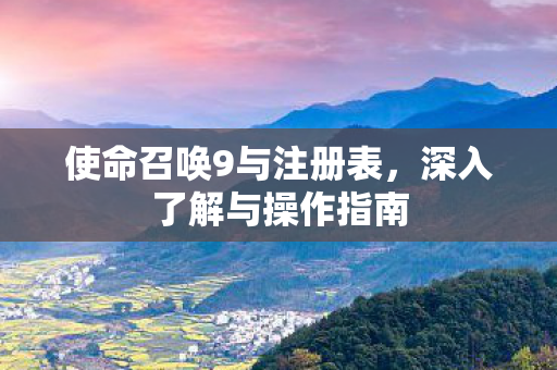 使命召唤9与注册表图片