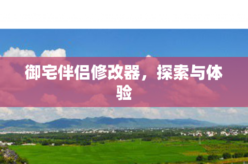 御宅伴侣修改器图片