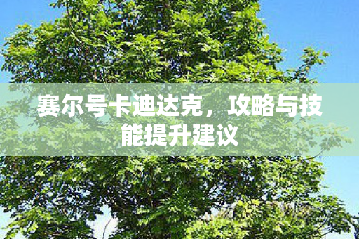 攻略与技能提升建议图片