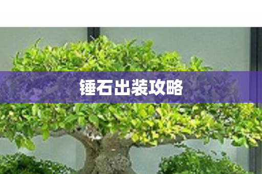 锤石出装攻略图片