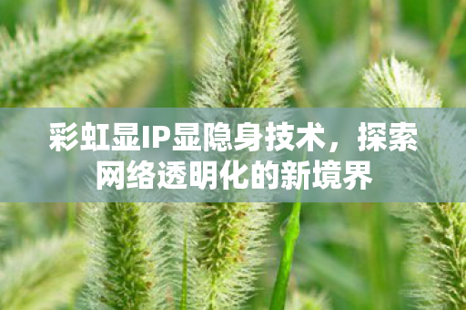 探索网络透明化的新境界图片