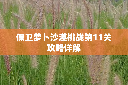 保卫萝卜沙漠挑战第11关攻略详解图片