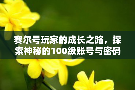 探索神秘的100级账号与密码图片