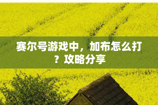 赛尔号游戏中图片