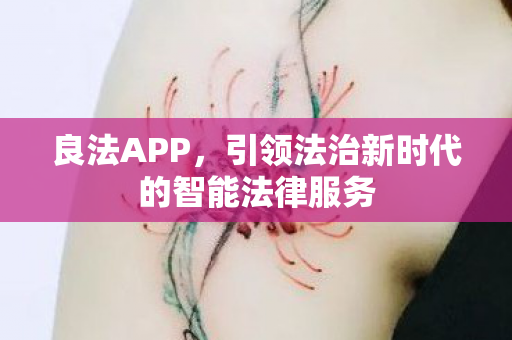 引领法治新时代的智能法律服务图片