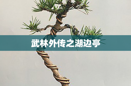 武林外传之湖边亭图片