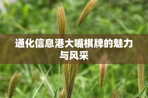 通化信息港大嘴棋牌的魅力与风采图片