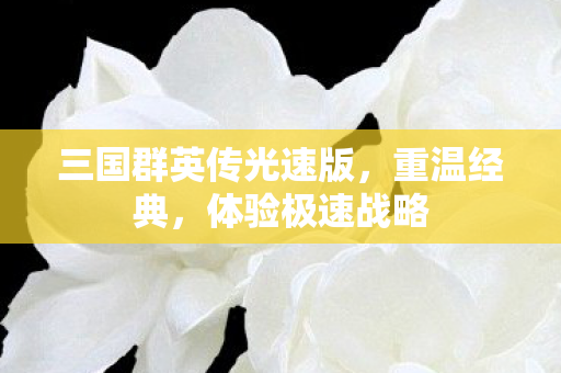三国群英传光速版图片