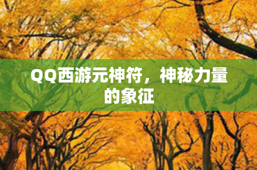 QQ西游元神符图片