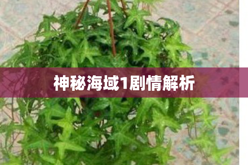 神秘海域1剧情解析图片