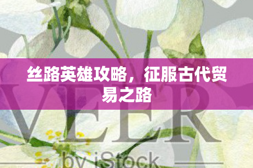征服古代贸易之路图片
