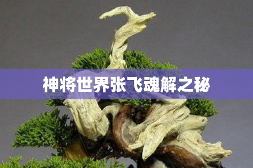 神将世界张飞魂解之秘图片