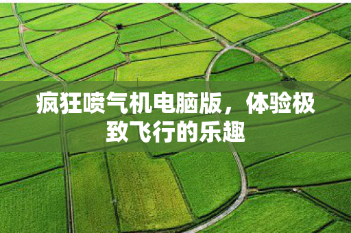 体验极致飞行的乐趣图片