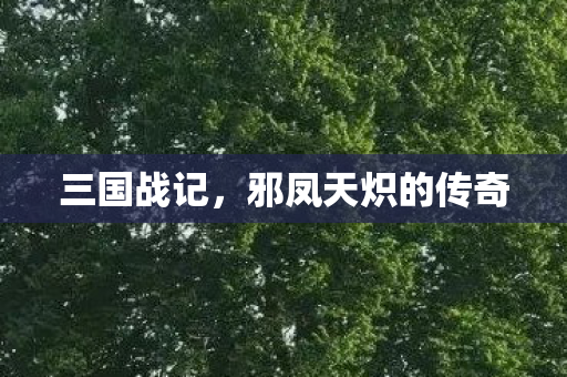 邪凤天炽的传奇图片