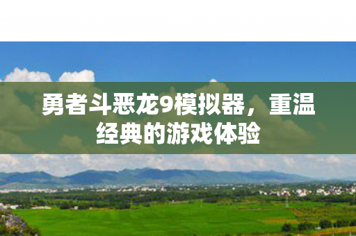 勇者斗恶龙9模拟器图片